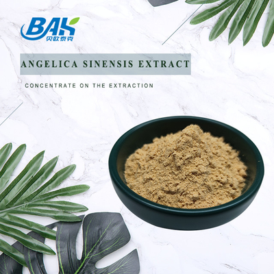 Fabbrica professionale cinese Dang Gui Angelica Sinensis Dong Quai Extratto di radice in polvere Angelica Dahurica Estratto