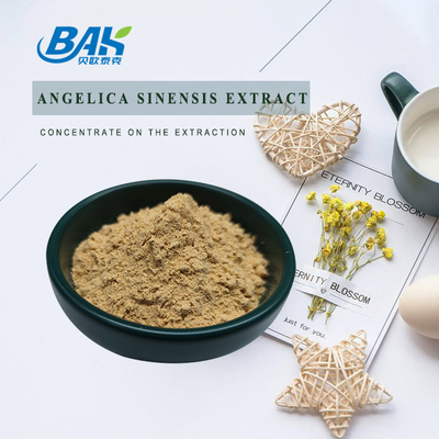 Fabbrica professionale cinese Dang Gui Angelica Sinensis Dong Quai Extratto di radice in polvere Angelica Dahurica Estratto