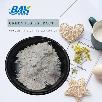 Estratto di tè verde EGCG CAS NO 989-51-5 Epigallocatechina gallato 98% polvere bianca