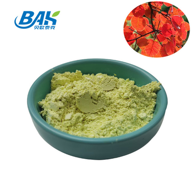 L'estratto nutriente Fisetin del Cotinus della polvere di supplemento di CAS 528-48-3 spolverizza 10% - 98%
