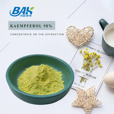 BAK Alta qualità Cas 520-18-3 Supplementi di potenziamento immunitario Kaempferolo in polvere 50% 90% 98%
