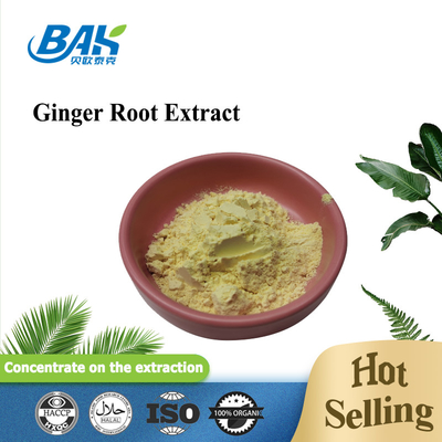 Ginger Root Extract Nutrient Supplement spolverizza la polvere di 10% - di 1% Gingerol