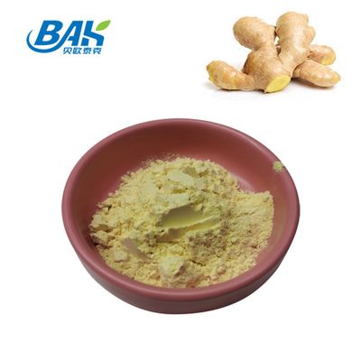 Ginger Root Extract Nutrient Supplement spolverizza la polvere di 10% - di 1% Gingerol