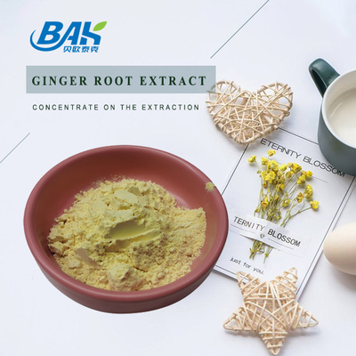 Ginger Root Extract Nutrient Supplement spolverizza la polvere di 10% - di 1% Gingerol