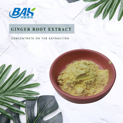 Ginger Root Extract Nutrient Supplement spolverizza la polvere di 10% - di 1% Gingerol