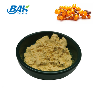 Hippophae Rhamnoides Linn Spino di mare in polvere Frutta e verdura in polvere