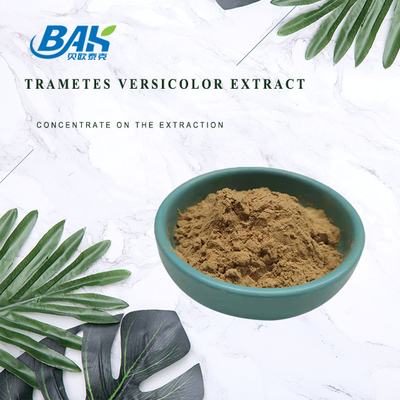 Estratti Versicolor 10% - 50% di trametes di supplemento dell'estratto del fungo del commestibile