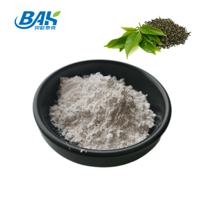 3081-61-6 estratto di erbe naturale della teanina 98% della polvere dell'estratto del tè verde per una dieta sana