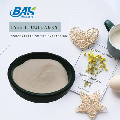 25% Peptide Proteina in polvere Estratto di cartilagine Collagene in polvere di tipo II di grado cosmetico