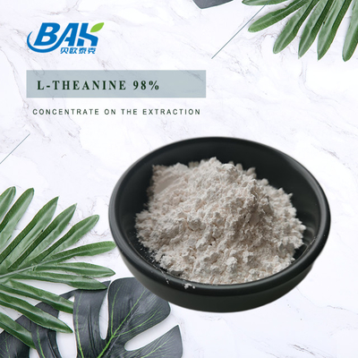 CAS NO 3081-61-6 Estratto di erbe naturali per una dieta sana Estratto di tè verde in polvere Teanina 98% in polvere