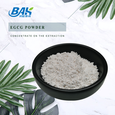 Estratto di tè verde EGCG CAS NO 989-51-5 Epigallocatechina gallato 98% polvere bianca