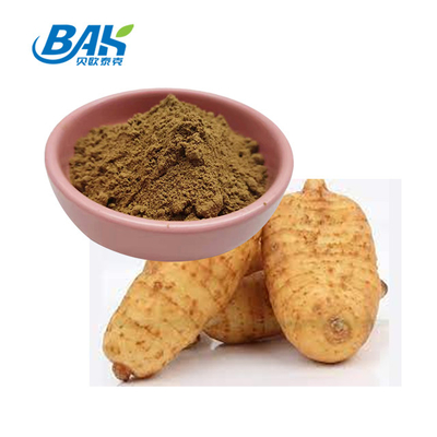 Estratto vegetale in polvere Supplementi alimentari Estratto di Gastrodia Rhizoma in polvere