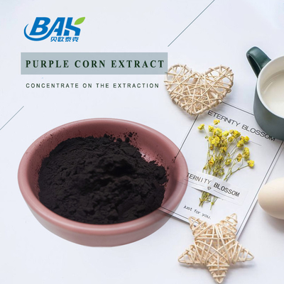BAK Factory all'ingrosso Antocianina 35% Zea Mays extracto di mais viola nero polvere viola scura