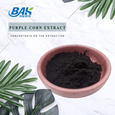 BAK Factory all'ingrosso Antocianina 35% Zea Mays extracto di mais viola nero polvere viola scura