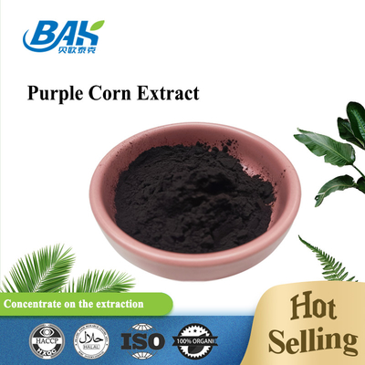 BAK Factory all'ingrosso Antocianina 35% Zea Mays extracto di mais viola nero polvere viola scura