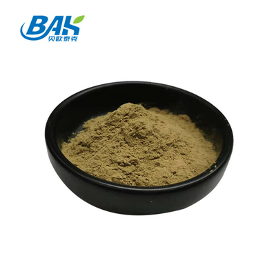 Fabbrica all'ingrosso Estratto di menta piperita pura Supplementi di potenziamento immunitario Mentha Haplocalyx Briq Brown Powder