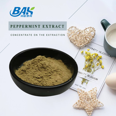 Fabbrica all'ingrosso Estratto di menta piperita pura Supplementi di potenziamento immunitario Mentha Haplocalyx Briq Brown Powder