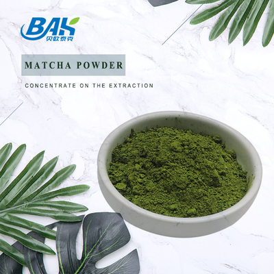 Polveri della frutta e di verdura di Matcha