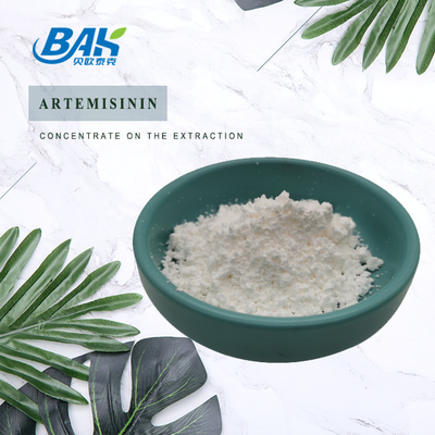 BAK Alta qualità 98% Min Artemisia annua in polvere Cas 63968-64-9 Quasi insolubile