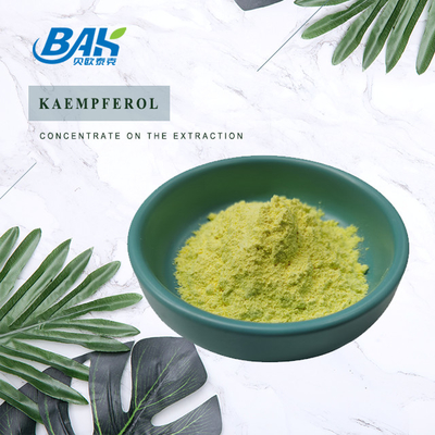BAK Alta qualità Cas 520-18-3 Supplementi di potenziamento immunitario Kaempferolo in polvere 50% 90% 98%