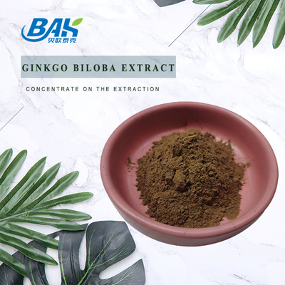 Polvere di Brown giallo dell'estratto del ginkgo biloba dei lattoni 6% del flavone 24%