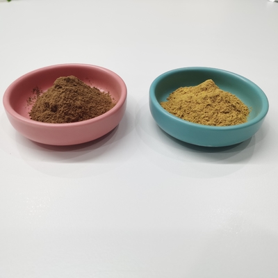 Polvere di Brown giallo dell'estratto del ginkgo biloba dei lattoni 6% del flavone 24%