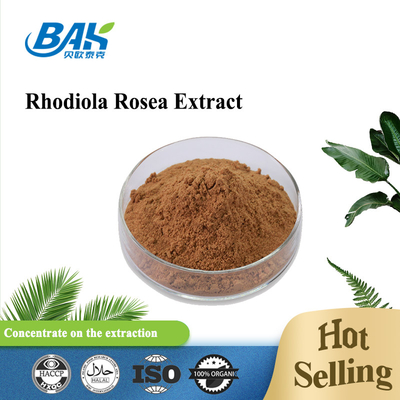 Integratore organico per la salute degli uomini Rosavin 1% -10% Estratto di Rhodiola Rosea L Polvere marrone rossastra