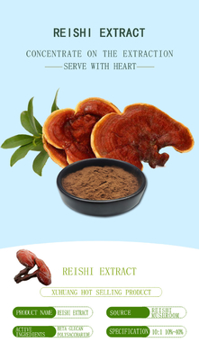 Polvere di estratto di funghi Reishi integratore per la protezione del fegato polisaccaride
