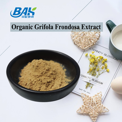 Estratto di Grifola Frondosa Bio Beta Glucano 70% Estratto di Funghi Supplemento UV VIS in polvere