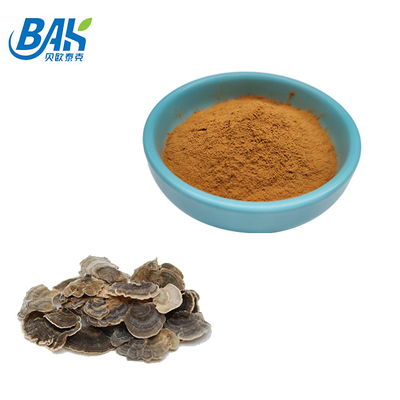 10%-50% polvere gialla di Brown del fungo di Coriolous di supplemento Versicolor dell'estratto