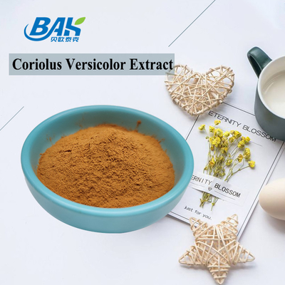 10%-50% polvere gialla di Brown del fungo di Coriolous di supplemento Versicolor dell'estratto
