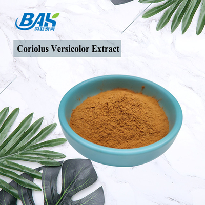 10%-50% polvere gialla di Brown del fungo di Coriolous di supplemento Versicolor dell'estratto