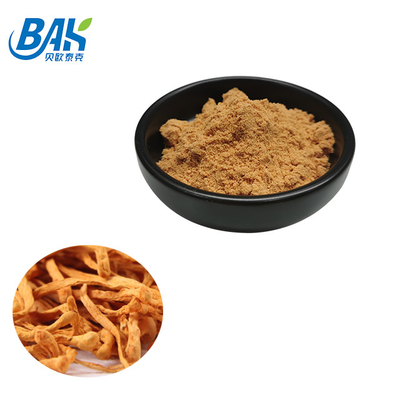 Supplementi di protezione del fegato dell'estratto di Cordyceps Militaris polvere di 6% - di 1% Cordycepin