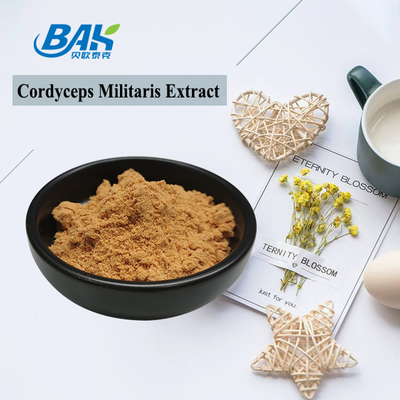 Supplementi di protezione del fegato dell'estratto di Cordyceps Militaris polvere di 6% - di 1% Cordycepin