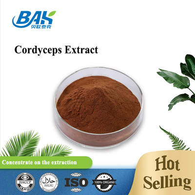 Il supplemento Cordyceps della salute degli uomini di Cordycepin 5% 10% 20% estrae la polvere di Brown