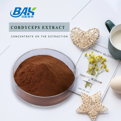 Il supplemento Cordyceps della salute degli uomini di Cordycepin 5% 10% 20% estrae la polvere di Brown