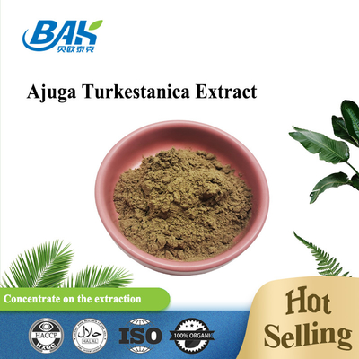 Estratto 2%-20% di Turkestanica del Ajuga