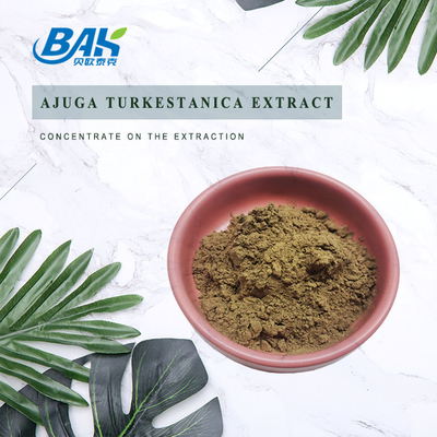 Estratto 2%-20% di Turkestanica del Ajuga