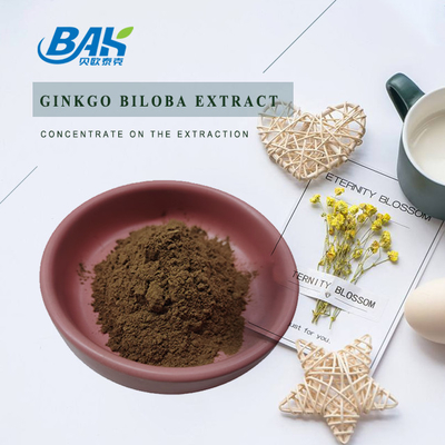 CAS 90045-36-6 Estratto di Ginkgo Biloba Glicosidi di flavoni 24% Terpene Lactories 6%