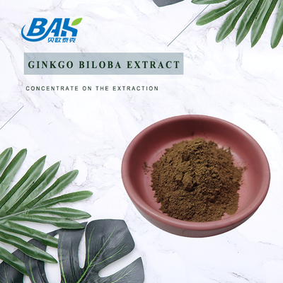 CAS 90045-36-6 Estratto di Ginkgo Biloba Glicosidi di flavoni 24% Terpene Lactories 6%