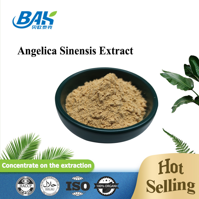 Fabbrica professionale cinese Dang Gui Angelica Sinensis Dong Quai Extratto di radice in polvere Angelica Dahurica Estratto