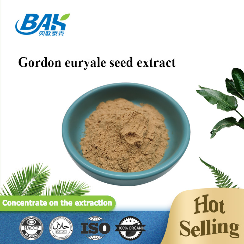 Supplemento di estratto di funghi biologici Halal 10:1 Gordon Euryale Seed Extract Powder