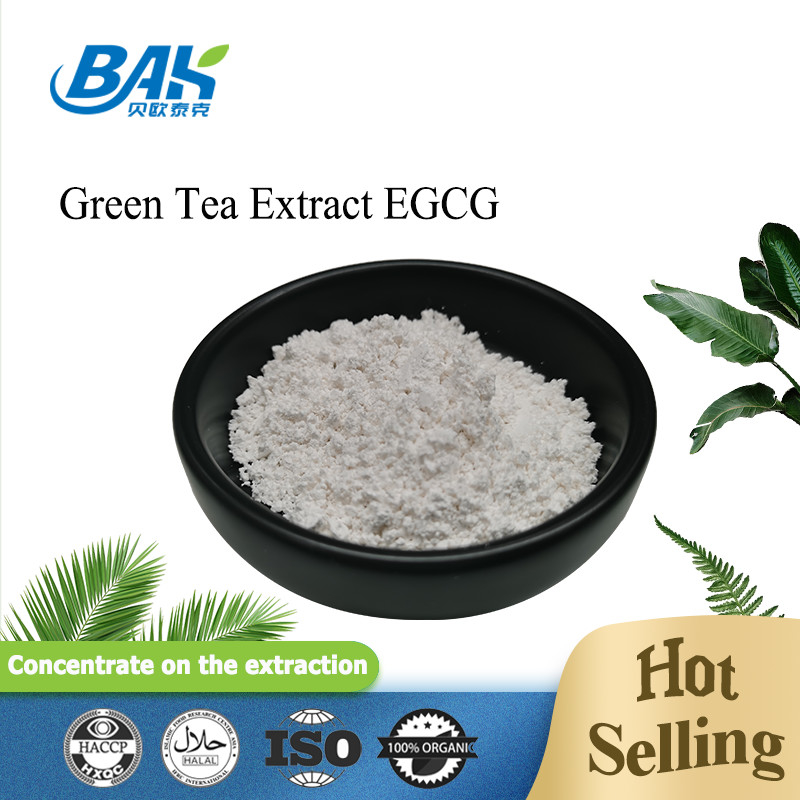 Estratto di tè verde EGCG CAS NO 989-51-5 Epigallocatechina gallato 98% polvere bianca