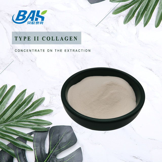 25% Peptide Proteina in polvere Estratto di cartilagine Collagene in polvere di tipo II di grado cosmetico