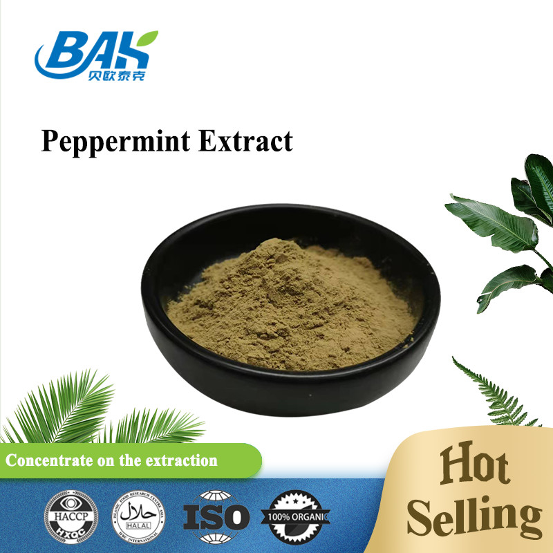 Fabbrica all'ingrosso Estratto di menta piperita pura Supplementi di potenziamento immunitario Mentha Haplocalyx Briq Brown Powder
