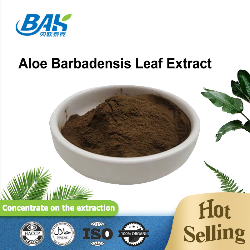 100/1 200/1 di aloe barbadensis copre di foglie polvere fine di Cas 85507-69-3 Brown dell'estratto