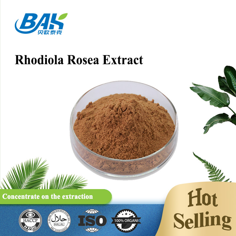 Integratore organico per la salute degli uomini Rosavin 1% -10% Estratto di Rhodiola Rosea L Polvere marrone rossastra