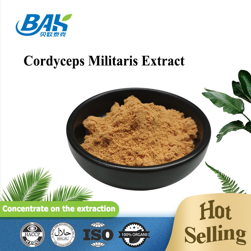 Supplementi di protezione del fegato dell'estratto di Cordyceps Militaris polvere di 6% - di 1% Cordycepin